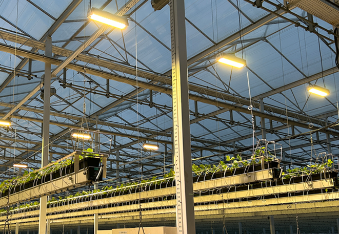 Smart Farm Top Lighting